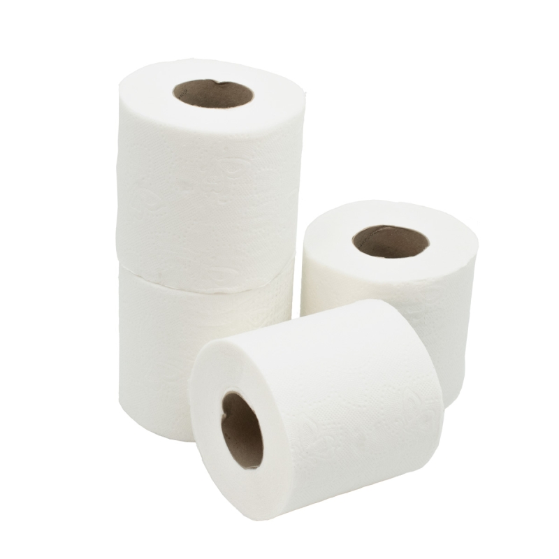 Toilet Paper (4 Pack) | Welcome To Life Startup Essentials